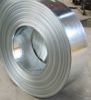 galvanized steel  (HDGI/GI)coils