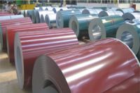 Sell Galvanized Coils/Sheets Plain/Corrugated