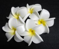 Sell hawaii foam flower