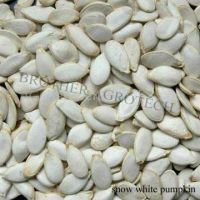 Sell Snow Pumpkin Seed of crop 2010