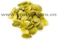 Supply Pumpkin Seed Kernels