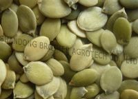 Sell Chinese Pumpkin Kernels
