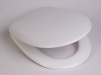 Toilet seat and covers