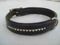 Sellinf offer of Dog Collar