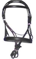 BRIDLE WITH FLASH NOSE BAND