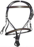 BRIDLE WITH GOLDEN CHAIN