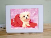 Sell 10.4 inch digital photo frame with multi-function