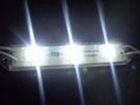 Sell LED Module SMD3528 and SMD5050