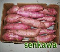 Sell Animal Feed/Animal Fodder:Frozen Sweet Potato