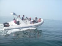 rigid inflatable boat (RIB-600S)