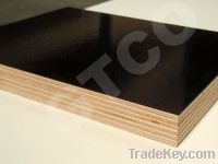 Sell film face plywood sheets board