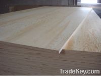 Sell 18mm & 21mm pine construction plywood board