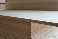 3/4 birch plywood with competitive prices