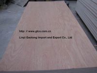 plywood for furniture , ceiling , decoration or packing