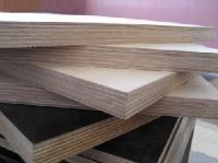 Commercial Plywood from Linyi Shandong