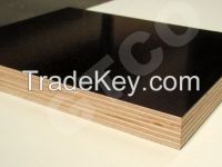 Supply 1220x2440x18mm black film face construction plywood poplar core