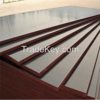 18mm hot sell film faced plywood in linyi factory for contruction