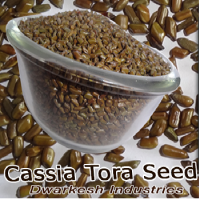 cassia tora seeds , Jue Ming Zi