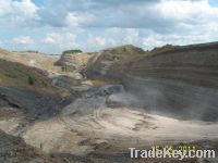 Export  Thermal Coal | Thermal Coal Suppliers | Thermal Coal Exporters | Thermal Coal Traders | Thermal Coal Buyers | Thermal Coal Wholesalers | Low Price Thermal Coal | Best Buy Thermal Coal | Buy Thermal Coal | Import Thermal Coal 