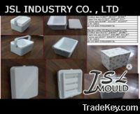 Ice cooler mould