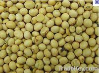 Soybeans  (GMO)