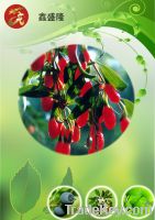 Sell Wolfberry Extract Polysaccharide 20%40% 50%UV