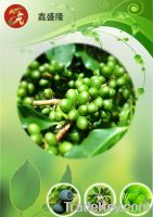 Sell Green Coffee Bean Extract 30%50%60%HPLC Chlorogenic acid