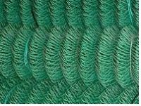 Sell chain link wire mesh