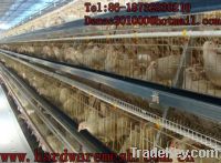 Sell Chicken cage