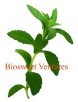 Sell Stevia Extracts (no aftertaste or bitterness)