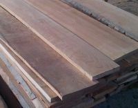 timber beech & spruce
