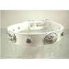 Sell pet collar lleather