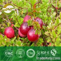 Sell cranberry extract