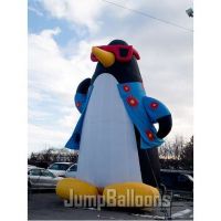 Cold Air Balloons, Penguin Advertising Balloon (B3040)