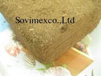 Sell bagasse blocks