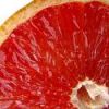 Sell Grapefruit seed-extract