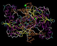 Sell Endonucleases