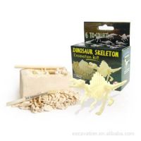 Small Dinosaur Skeleton dig kit