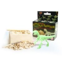Glow Dinosaur Skeleton dig kit
