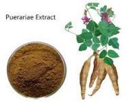 Sell Puerariae(Kudzu Root) extract