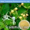HoneySuchle Flowers Extract