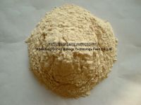 Sell Wheat protein concentrate (feed grade)