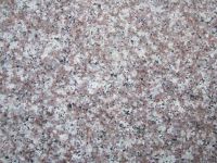 Sell G664 granite