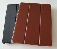 Sell case for Apple iPAD2