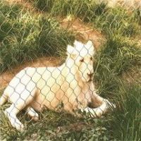 Sell  zoo mesh/animal enclosure/aviary mesh