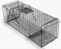 Sell Live animal trap, Raccoon Cage