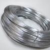 Sell electro galvanized wire, black annealed wire