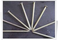 Sell common nails, round wire nails