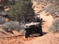 UTV 500CC 4x4 - EEC & EPA