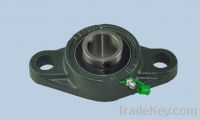 Sell oval flange bearing ucfl208